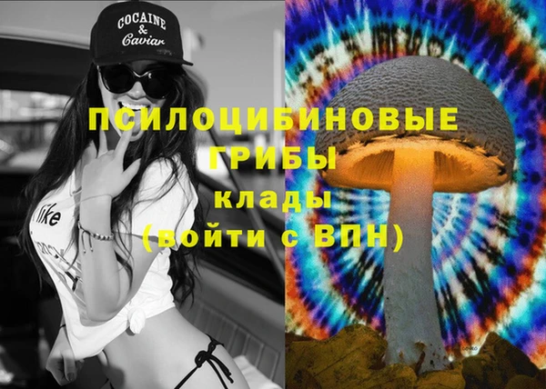 скорость Баксан