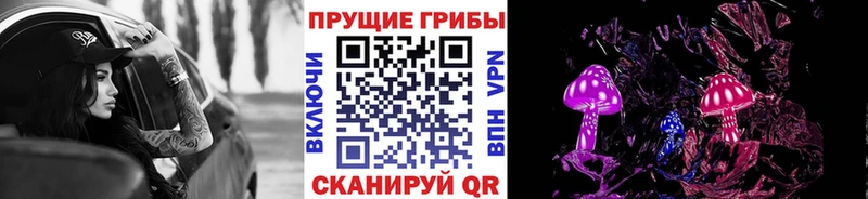 мега   Жигулёвск  Псилоцибиновые грибы мухоморы 
